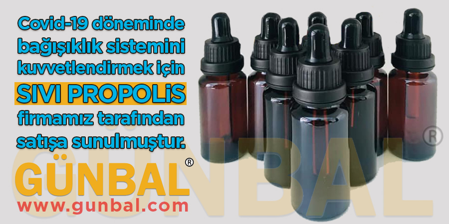 Sıvı Propolis